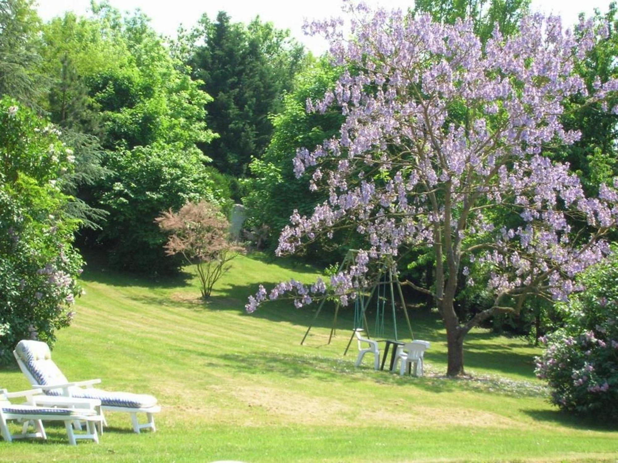 Charme Au Coeur Des Chateaux De La Loire Avec Wifi - Fr-1-590-305 Tavers Exterior foto